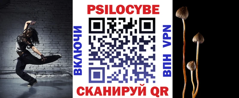 ОМГ ОМГ ТОР  Светлоград  Галлюциногенные грибы MAGIC MUSHROOMS 