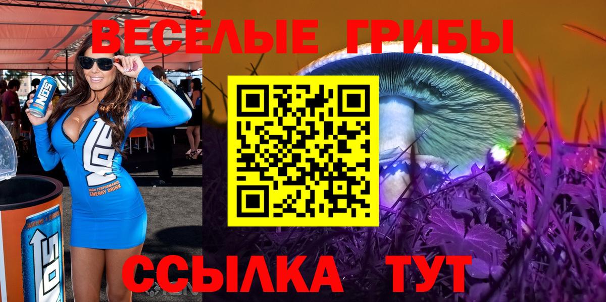 Галлюциногенные грибы мухоморы  Псилоцибиновые грибы GOLDEN TEACHER  Вход с VPN  Светлоград 