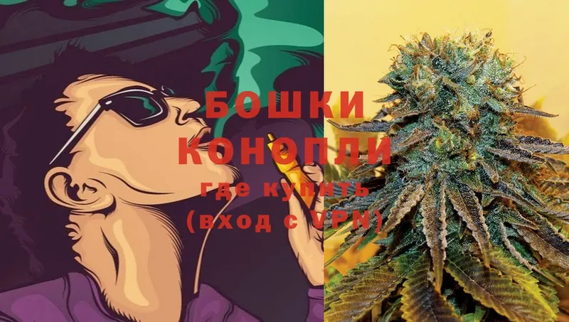 закладка  Светлоград  Шишки марихуана SATIVA & INDICA 